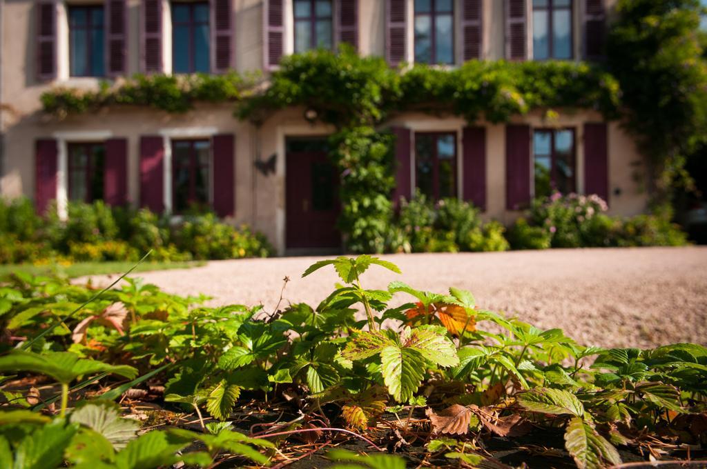 Au Puy Des Verites Lapalisse Exterior foto